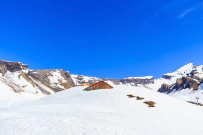 Nature view of snow on mountain