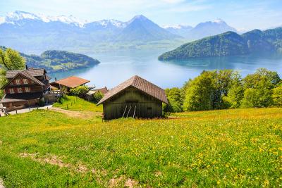 Beautiful nature view on Mount Rigi